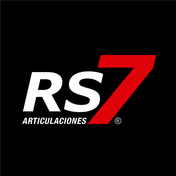 RS7 ARTICULACIONES