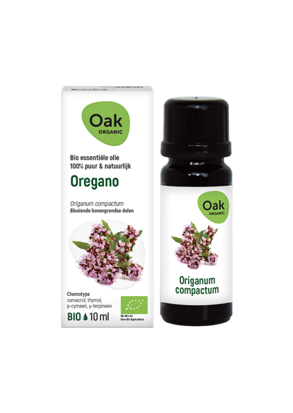 Oak Oregano
